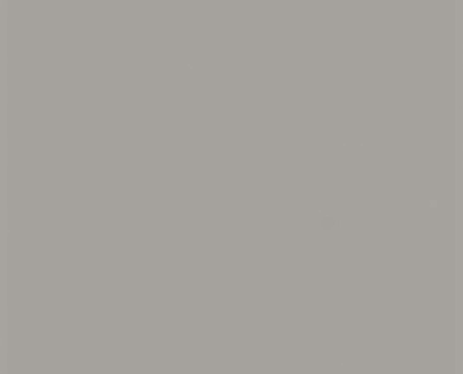 gres mexique grigio chiaro