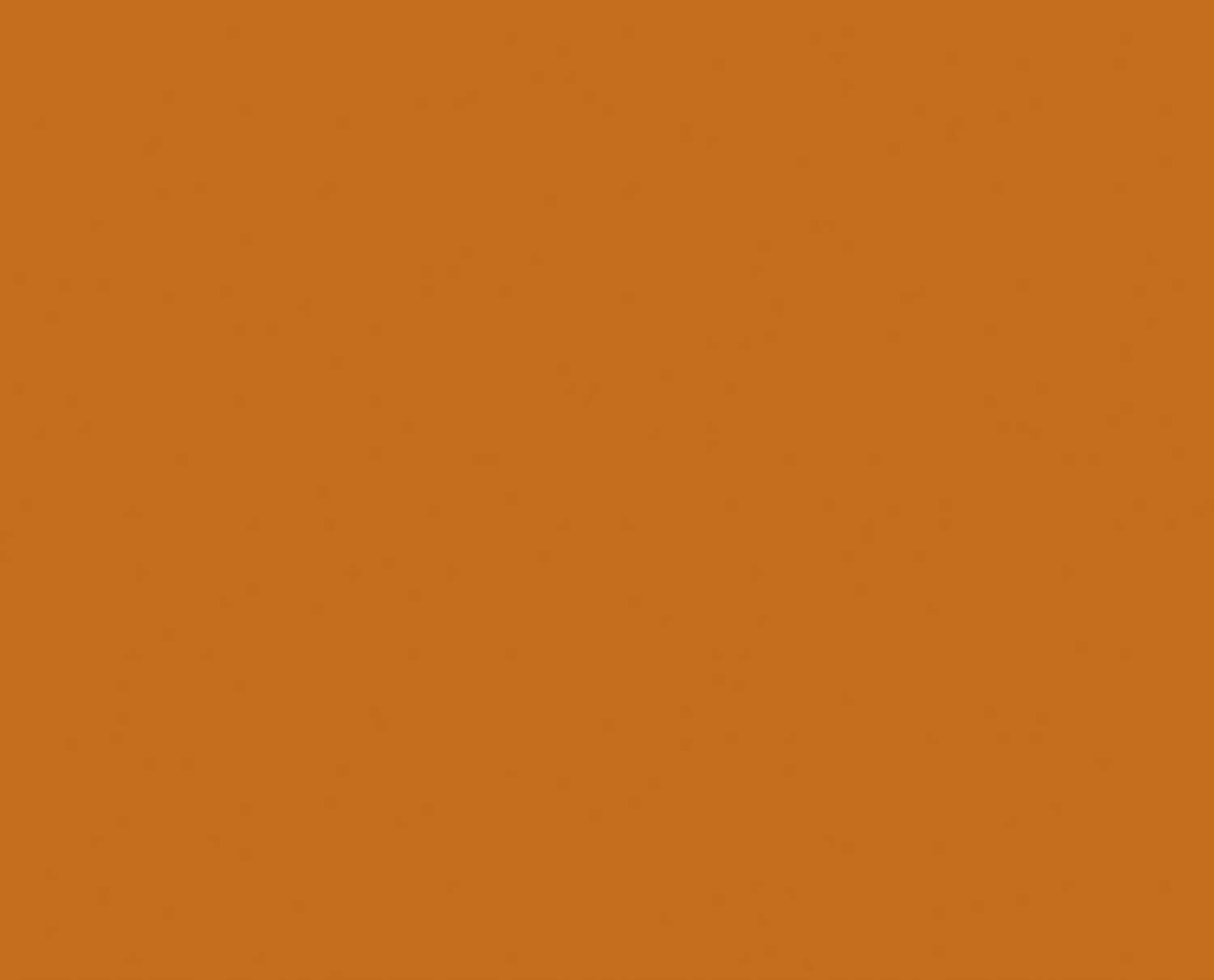 verniciato becco d oca ral2000