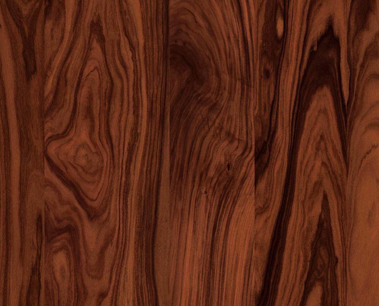 palissandro santos 1