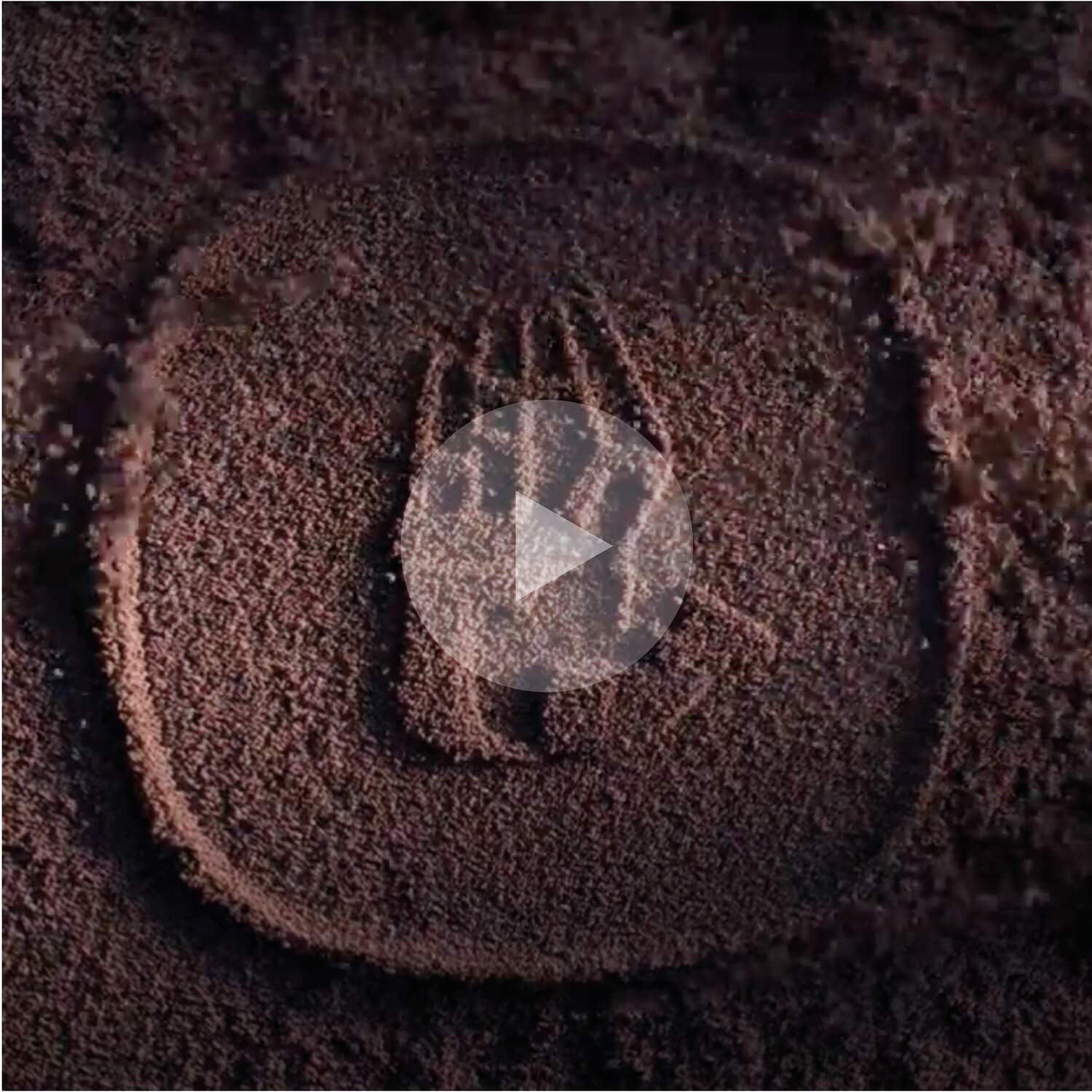 Collection Chandigarh   Le Corbusier   Cassina with Ginori 1735 5760x5760