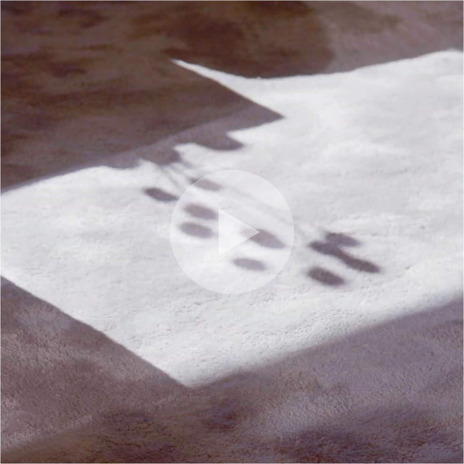 The Cassina Perspective   A Villa and its Garden 5760x5760