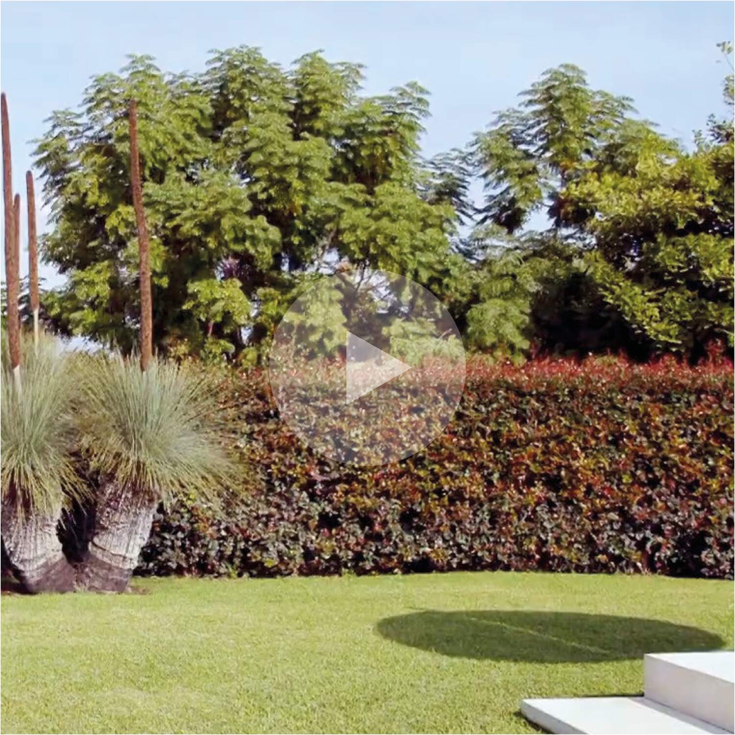 The Cassina Perspective Goes Outdoor   Tropical Refuge 5760x5760