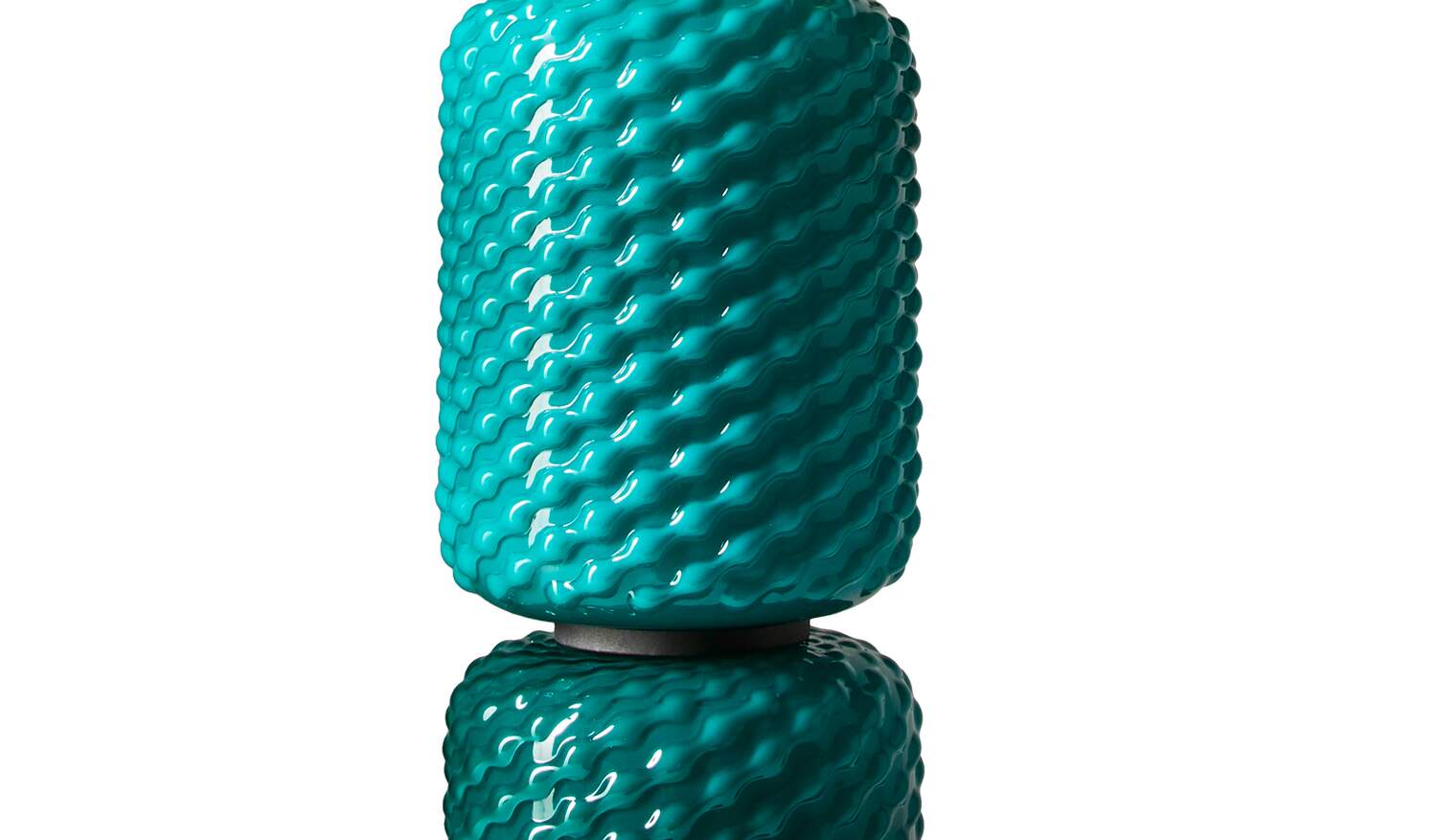 02 caratteristiche 089 ficupala terra