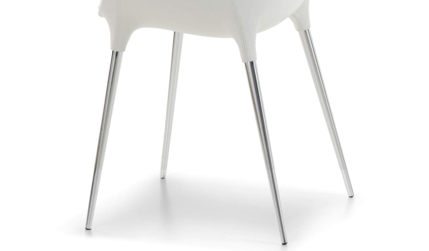 02 caratteristiche passion