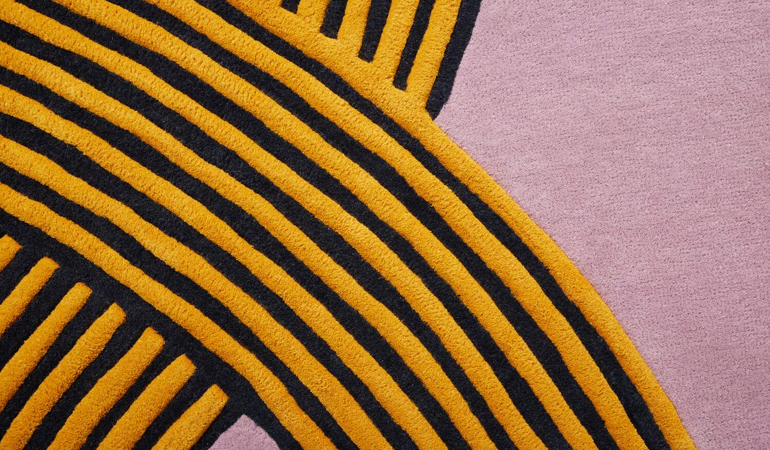 01 caratteristiche D12 rigadin