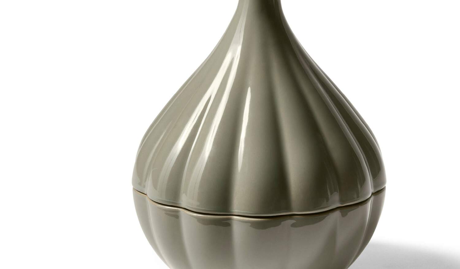 01 caratteristiche 334 onion