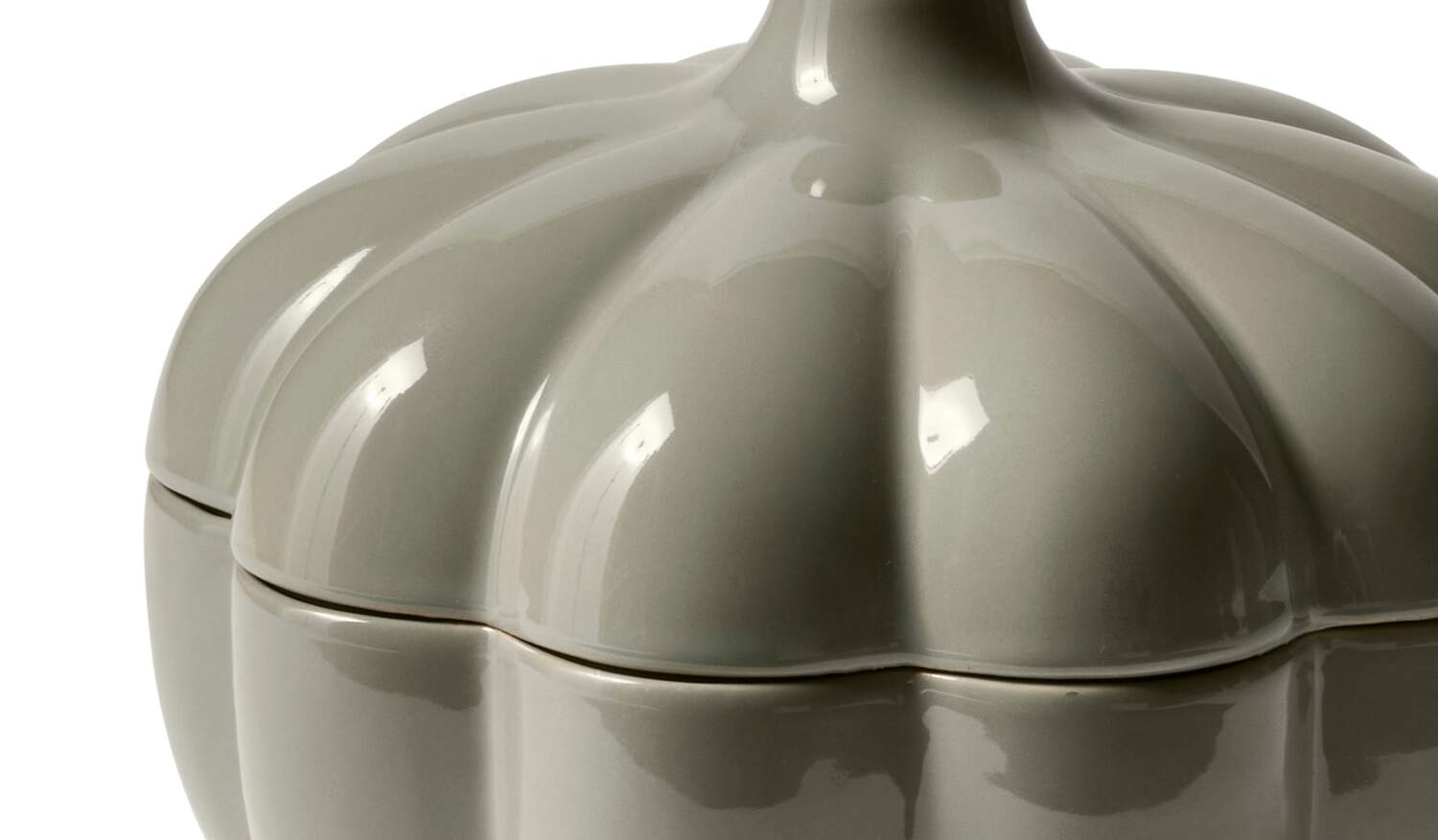 01 caratteristiche 334 pumpkin